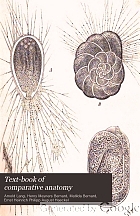 Text-book of comparative anatomy,