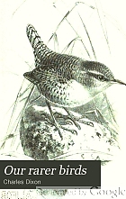 Our rarer birds : being studies in ornithology & oology