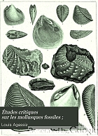 Études critiques sur les mollusques fossiles : par Ls. Agassiz.
