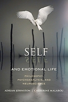 Self and emotional life : philosophy, psychoanalysis, and neuroscience