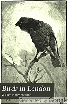 Birds in London,