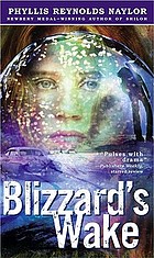 Blizzard's wake