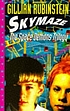 Skymaze 著者： Gillian Rubinstein