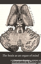 The brain as an organ of mind