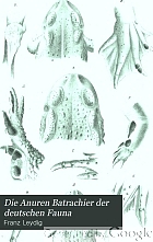 Die Anuren Batrachier der deutschen Fauna.