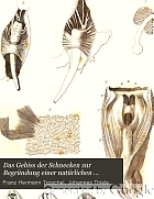 Das Gebiss der Schnecken zur Begründung einer natürlichen Classification