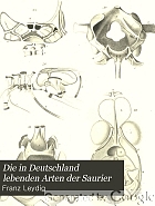 Die in Deutschland lebenden Arten der Saurier,