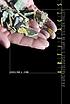 Artifacts : an archaeologist's year in Silicon Valley