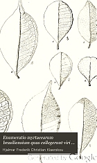 Enumeratio myrtacearum brasiliensium quas collegerunt viri doctissimi Glaziou, Lund, Mendonca, Raben, Reinhardt, Schenck, Warming aliique.