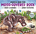 Anansi and the moss-covered rock by  Eric A Kimmel 