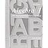 Algebra 1 : an incremental development por John H Saxon