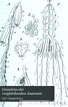 Grundriss der vergleichenden Anatomie