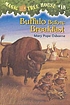 Buffalo before breakfast de Mary Pope Osborne