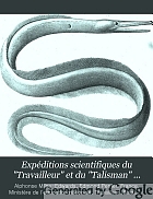 Expéditions scientifiques du Travailleur et du Talisman pendant les années 1880, 1881, 1882, 1883.