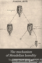 The mechanism of Mendelian heredity,