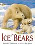 Ice bears por Brenda Z Guiberson