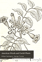 American weeds and useful plants: being a second and illustrated edition of Agricultural botany.