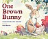 One brown bunny by  Marion Dane Bauer 