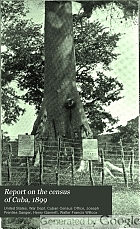 Report on the census of Cuba, 1899.