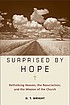 Surprised by hope : rethinking heaven, the resurrection,... de N  T Wright