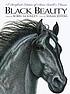 Black Beauty por Robin McKinley