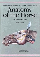 Anatomy of the horse : an illustrated text