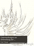 Untersuchungen zur Erforschung der genealogischen Grundlage des crustaceen-Systems.