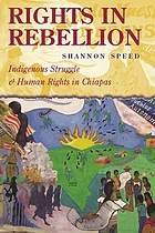 Rights in rebellion : indigenous struggle and human rights in Chiapas