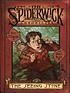 The seeing stone von Tony DiTerlizzi