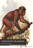 A hand-book to the primates