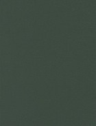 Statistics using SPSS : an integrative approach