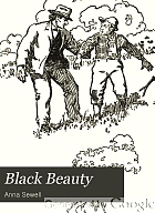 Black Beauty : the autobiography of a horse
