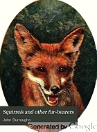 Squirrels and other fur-bearers,