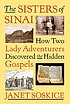 The sisters of Sinai : how two lady adventurers discovered the hidden Gospels