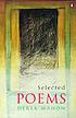 Selected poems von Derek Mahon
