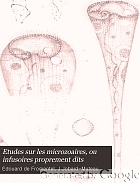 Etudes sur les microzoaires ou infusoires proprement dits, comprenant de nouvelles recherches sur leur organisation, leur classification et la description des espèces nouvelles ou peu connues.