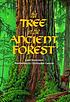 The tree in the ancient forest