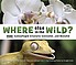 Where else in the wild? : more camouflaged creatures concealed--and revealed