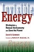Invisible energy : strategies to rescue the economy... 著者：  David B Goldstein, Ph.D. 
