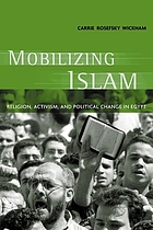 Mobilizing Islam : religion, activism, and political change in Egypt