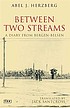Between two streams : a diary from Bergen-Belsen