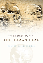 The evolution of the human head