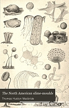 The North American slime-moulds; being a list of all species of Myxomycetes hitherto described from North America, including Central America,