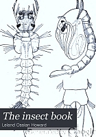 The insect book; a popular account of the bees, wasps, ants, grasshoppers, flies and other North American insects exclusive of the butterflies, moths and beetles, with full life histories, tables and bibliographies,