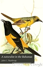 A naturalist in the Bahamas: John I. Northrop, October 12 1861 - June 25, 1891;