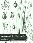Monographie des Bignoniacées : ou histoire générale et particulière des plantes qui composent cet ordre naturel