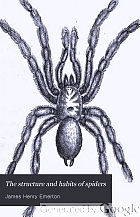 The structure and habits of spiders.