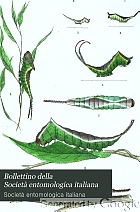 Bollettino della Società entomologica italiana.