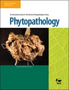 Phytopathology : an international journal.
