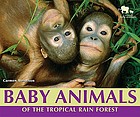 Baby animals of the tropical rain forest
